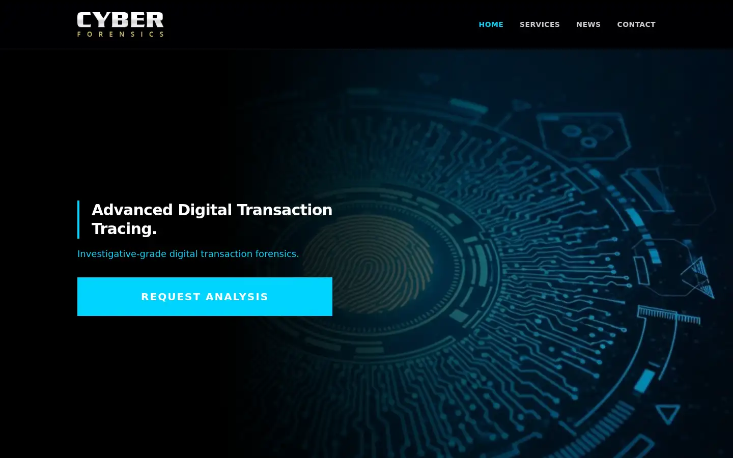 Screenshot of cyber-forensics.net