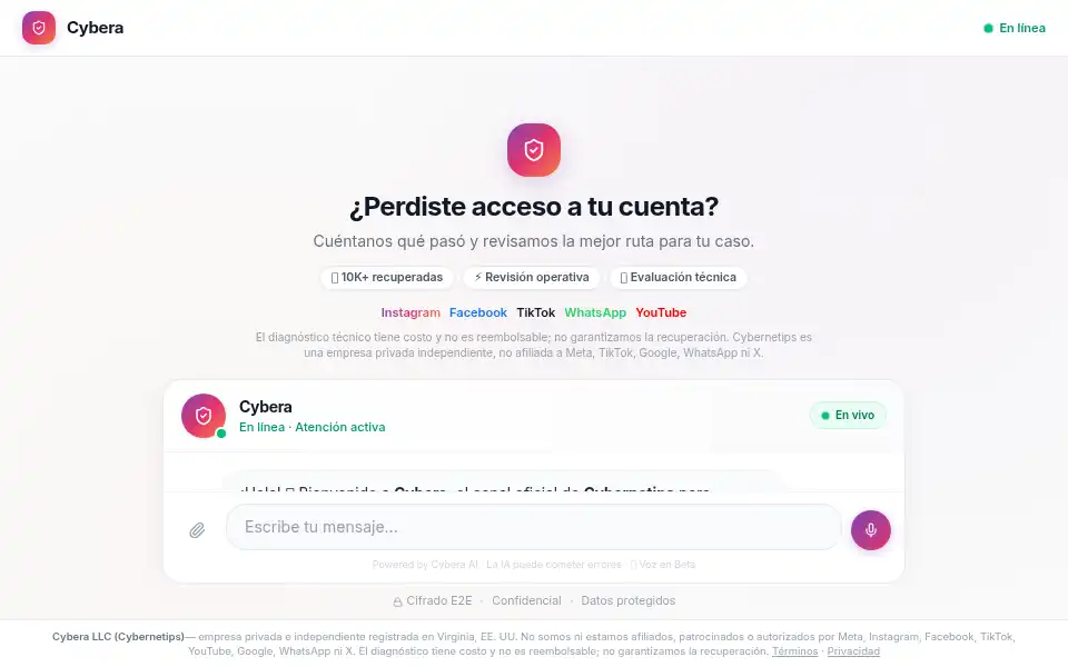 Screenshot of cybernetips.com