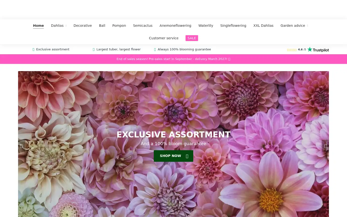 Screenshot of dahliastore.com