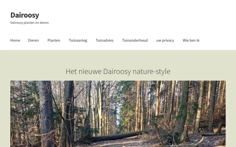 Screenshot of dairoosy.nl