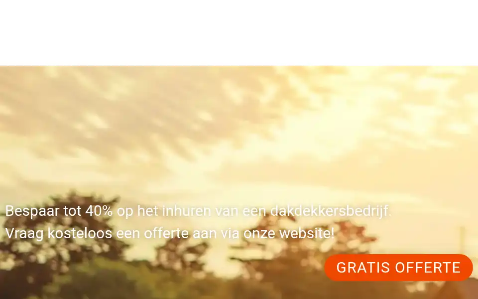 Screenshot of dakdekkermaarssen.net
