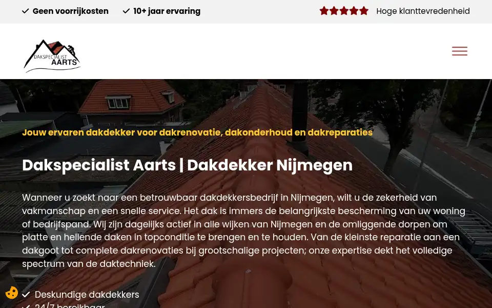 Screenshot of dakspecialistaarts.nl