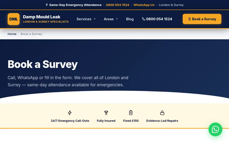 Screenshot of dampmouldleak.co.uk