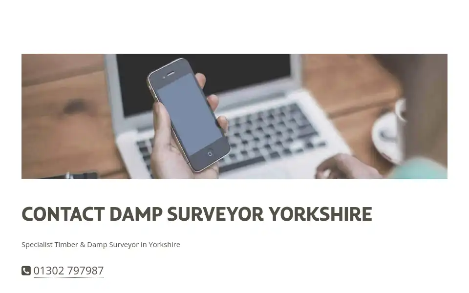 Screenshot of dampsurveyoryorkshire.co.uk