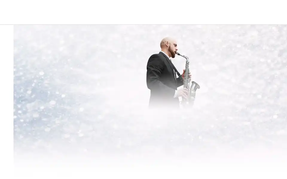 Screenshot of daniel-sax.dk
