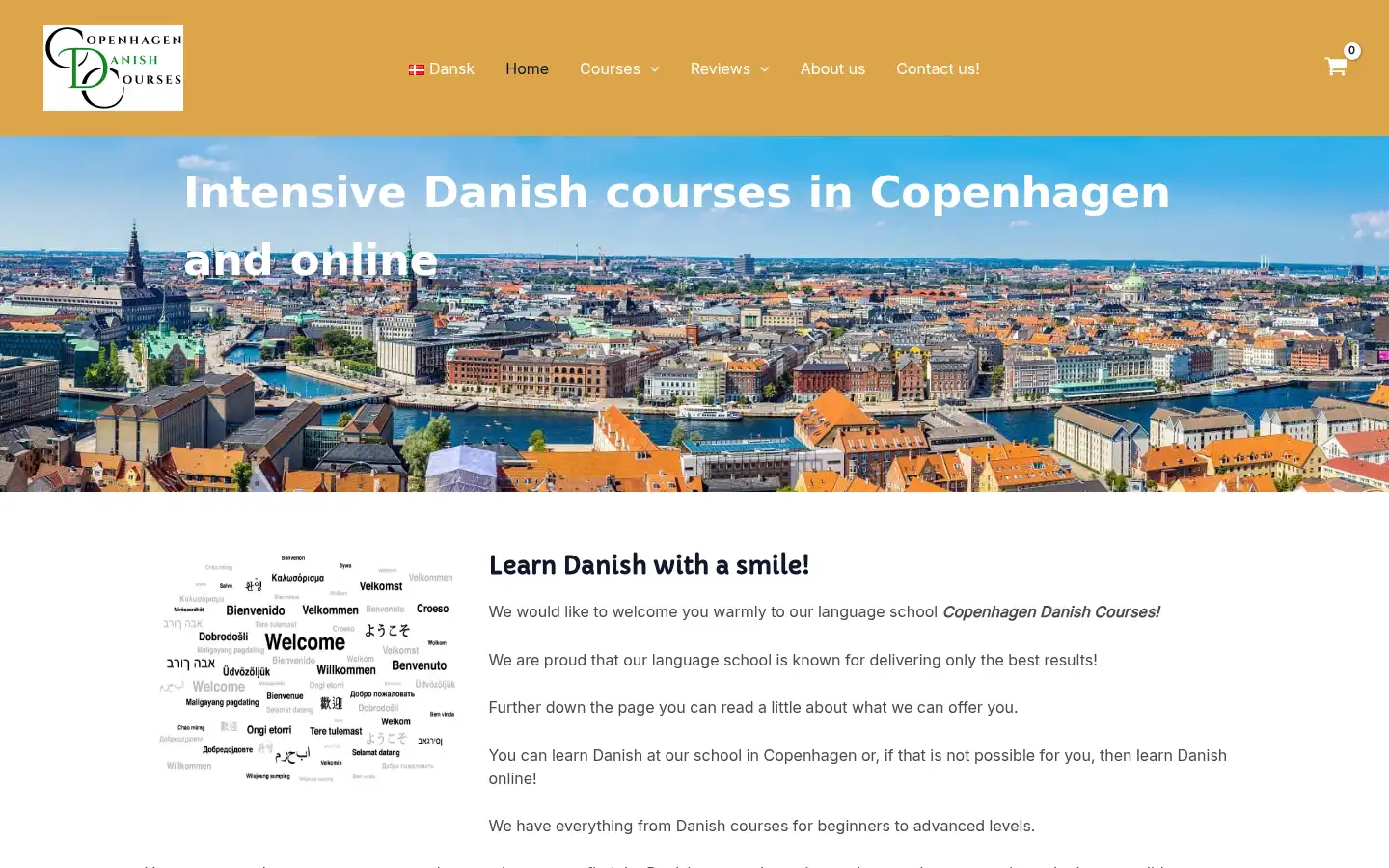 Screenshot of danishcourses.dk