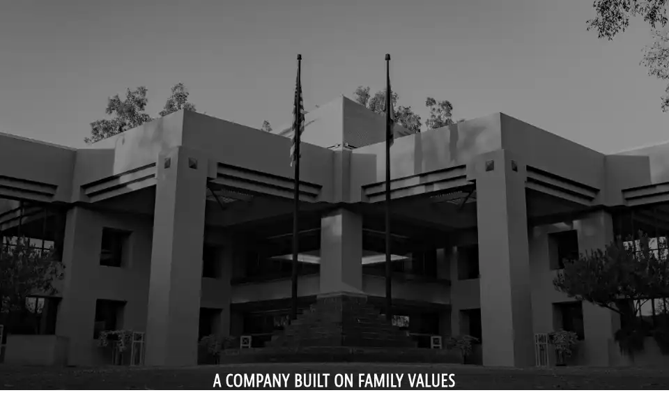 Screenshot of dansons.com