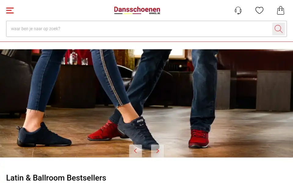 Screenshot of dansschoenenwinkel.be