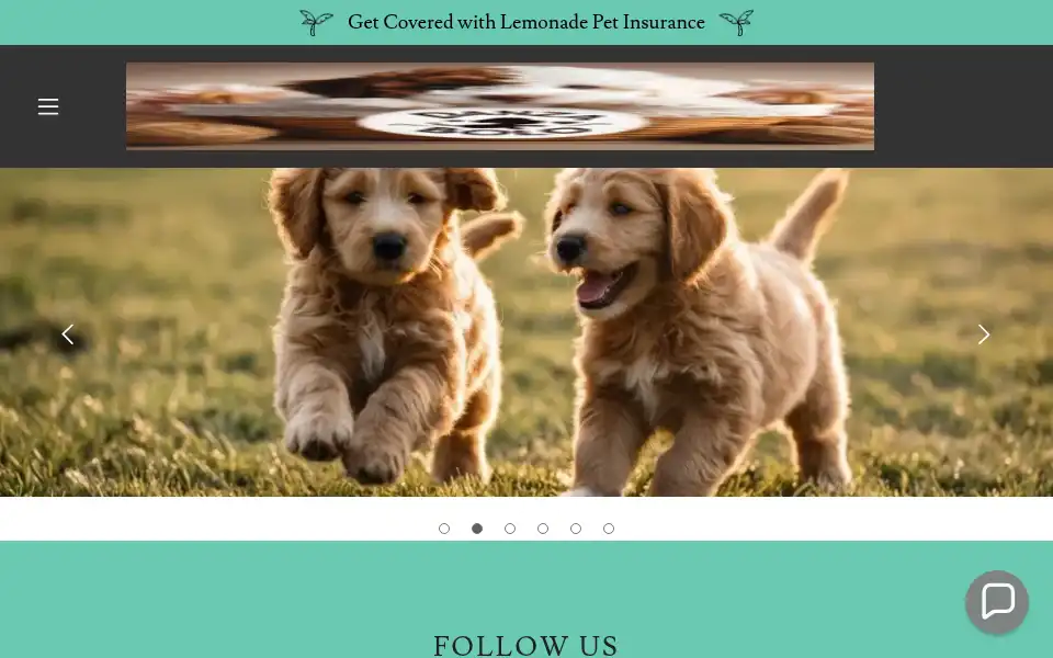 Screenshot of danzabolopet.com