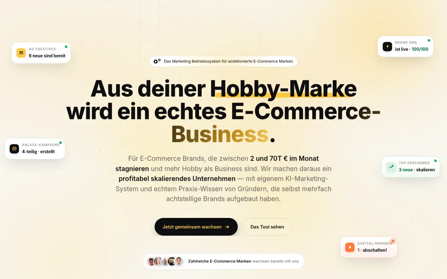 Screenshot of das-markenwerk.de