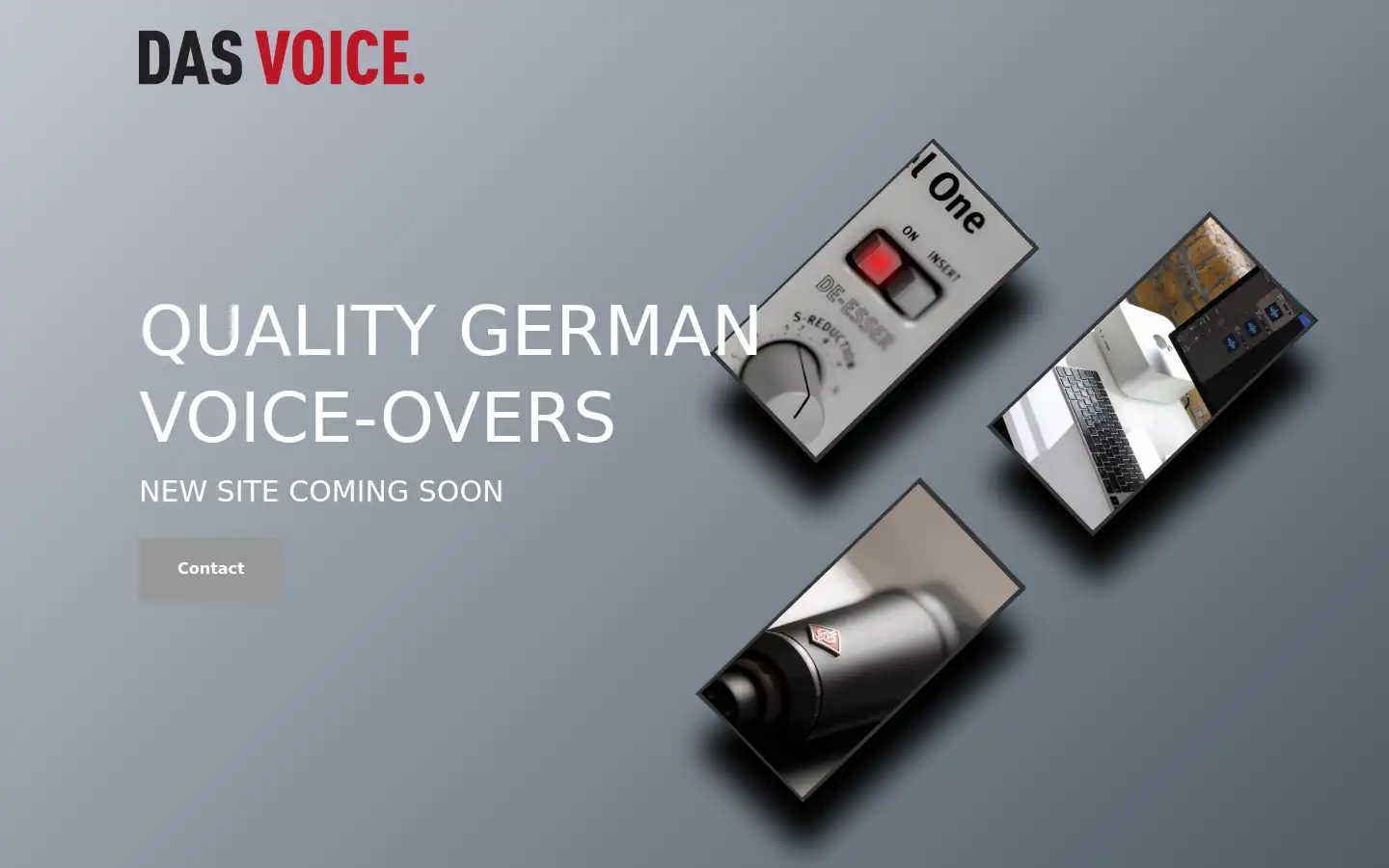 Screenshot of dasvoice.com