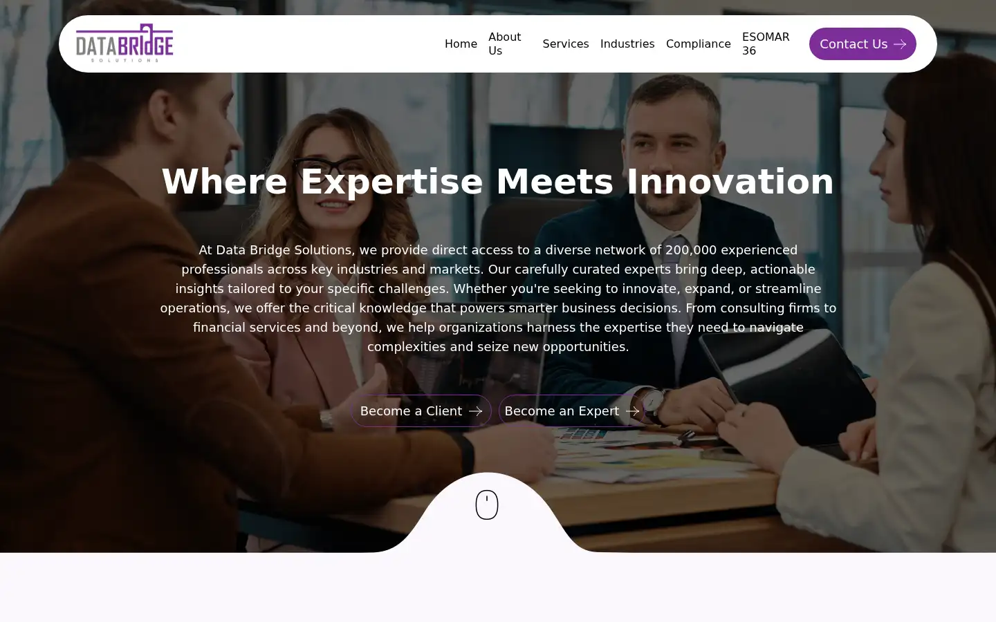 Screenshot of databridge-solutions.com