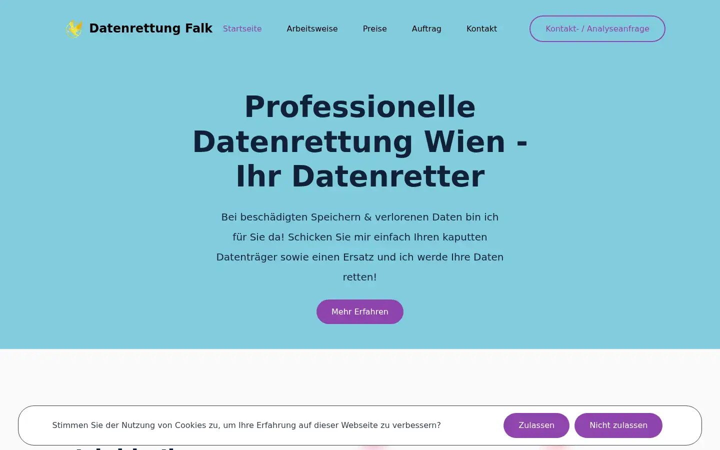 Screenshot of datenrettungfalk.com