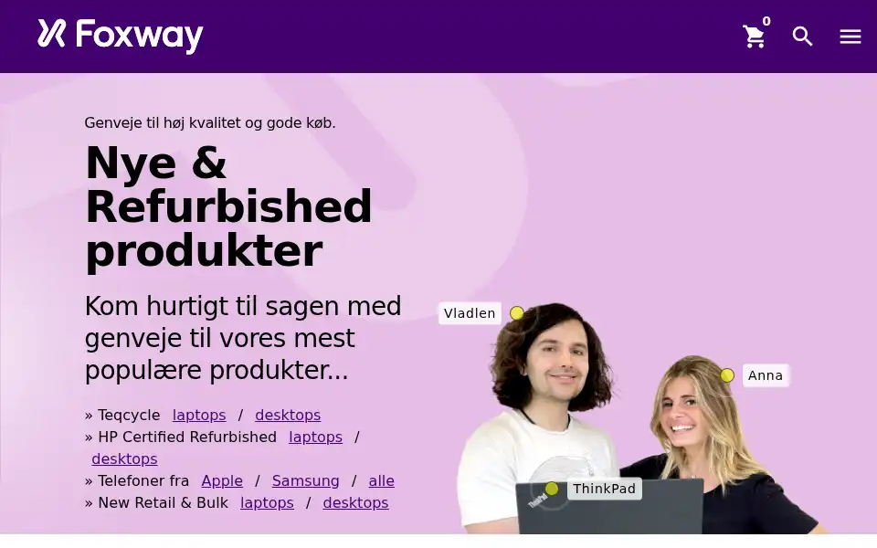 Screenshot of dcc.dk