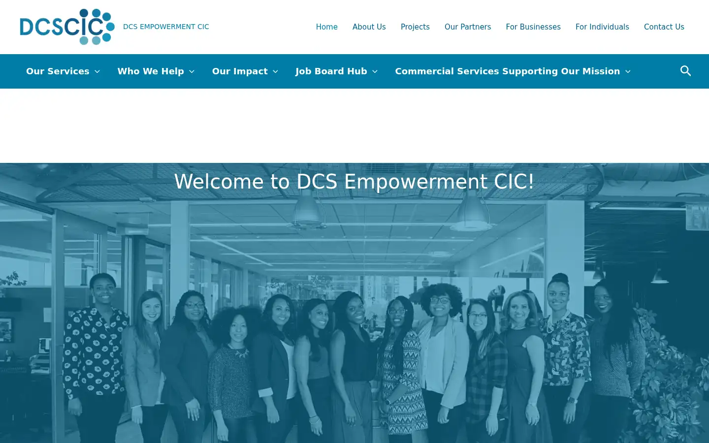 Screenshot of dcscic.co.uk