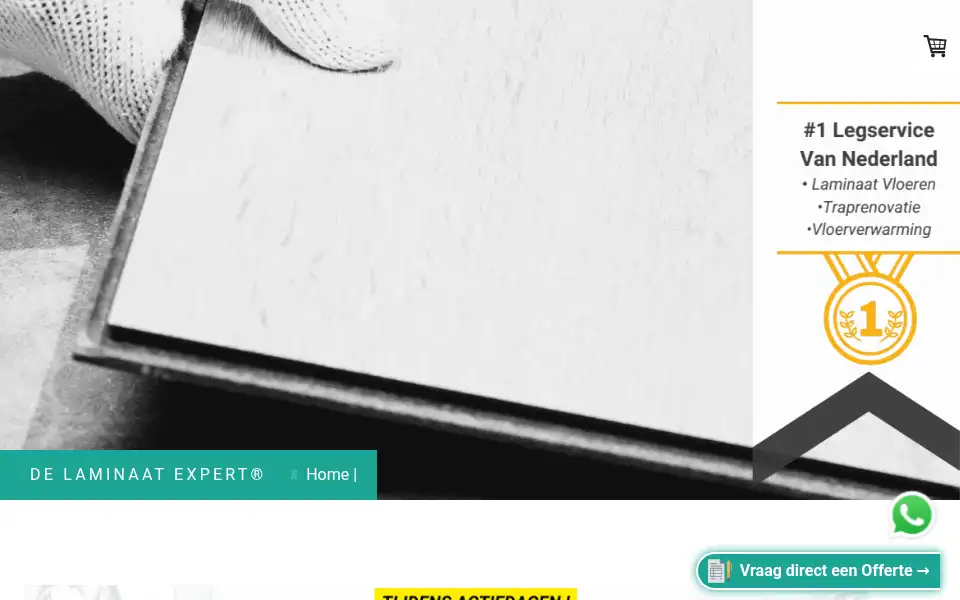 Screenshot of de-laminaatexpert.nl