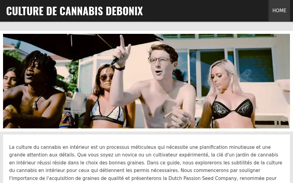 Screenshot of debonix.fr