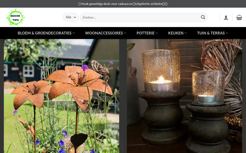 Screenshot of decortipsnl.com