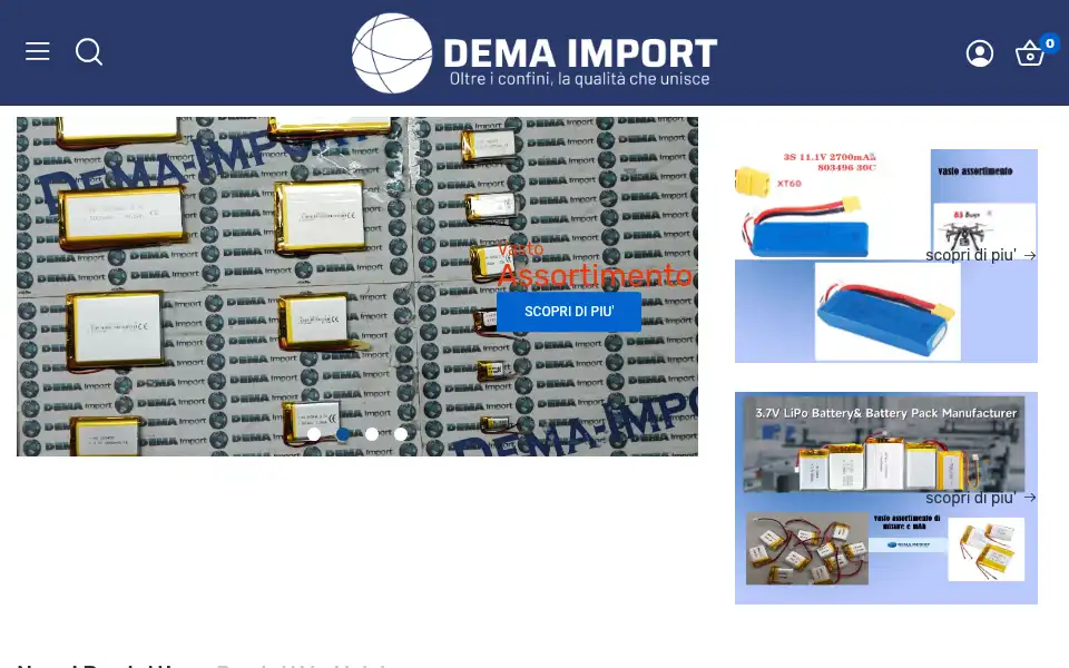 Screenshot of dema-import.it