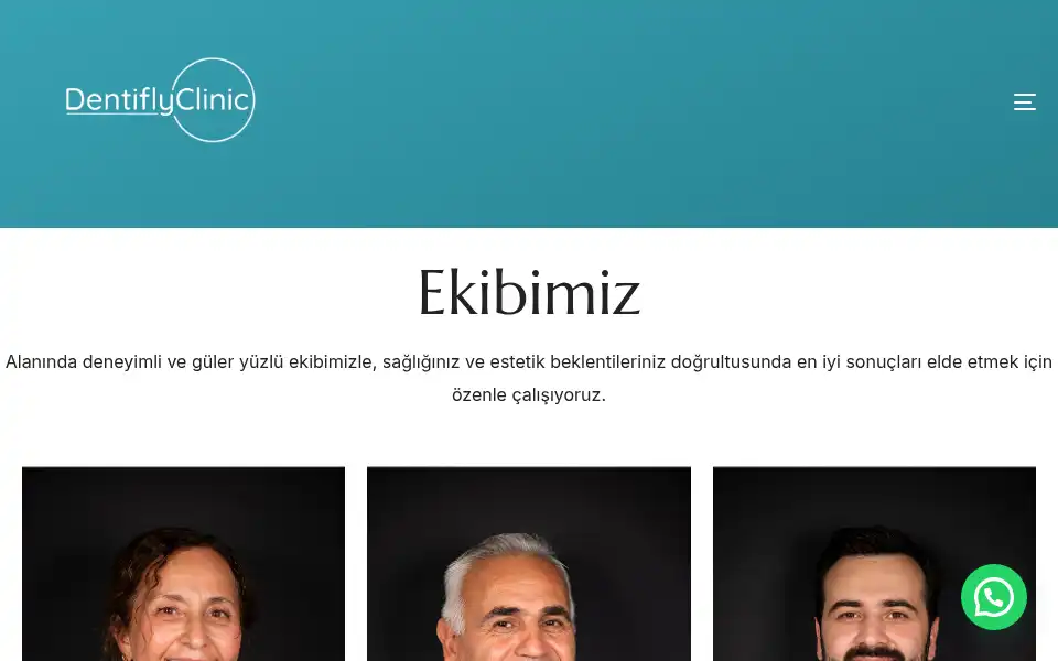 Screenshot of dentifly.com