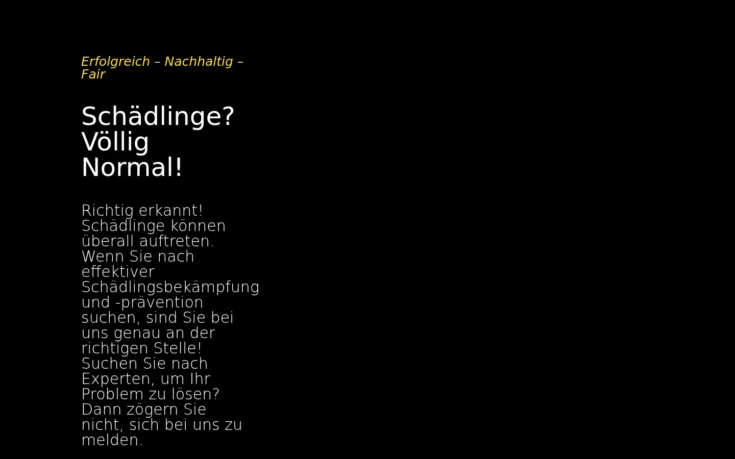 Screenshot of derkammerjaeger.com