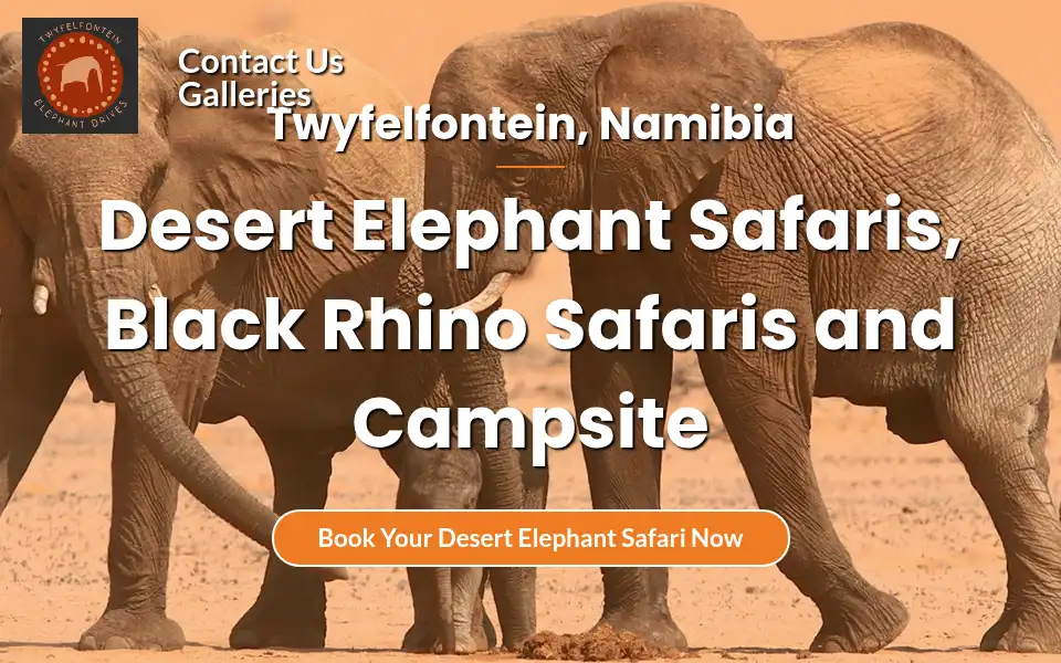 Screenshot of desertelephants.com