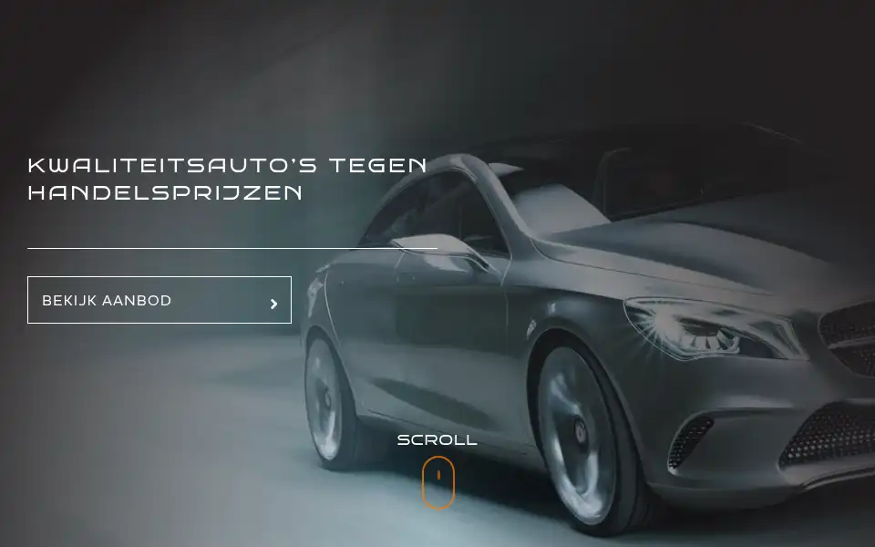 Screenshot of devries-automotive.nl