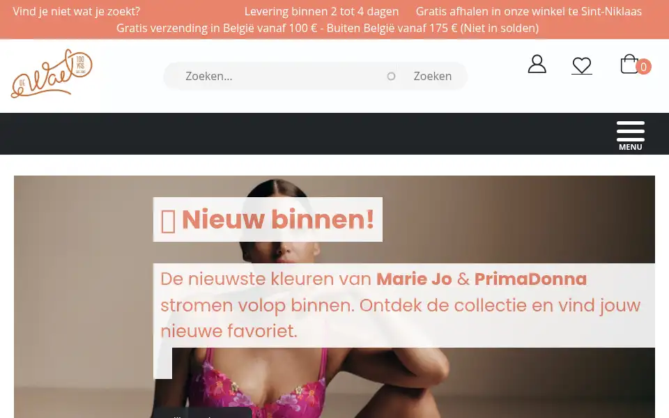 Screenshot of dewaellingerie.be
