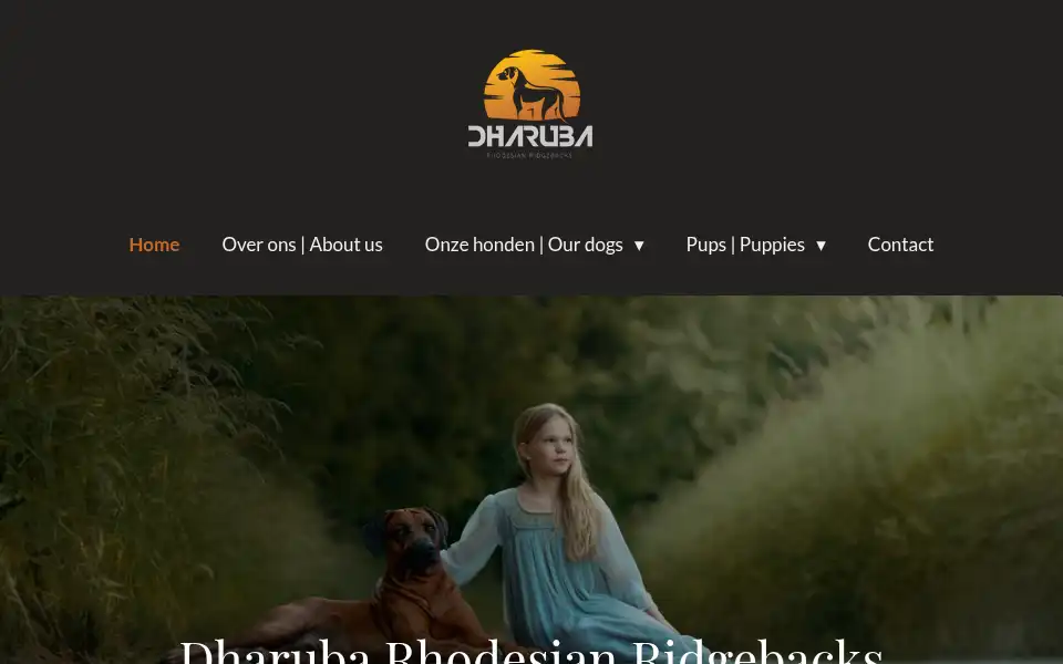 Screenshot of dharuba.com