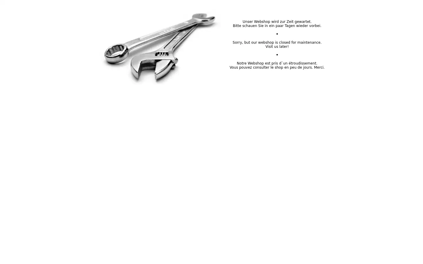 Screenshot of diehandwerksprofis.de