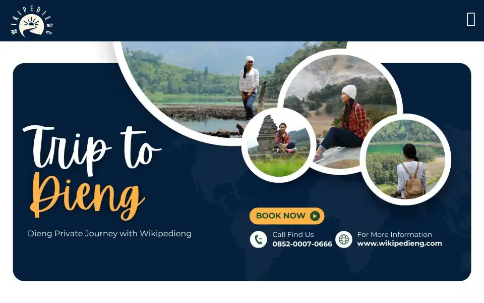 Screenshot of diengtravelpackages.com
