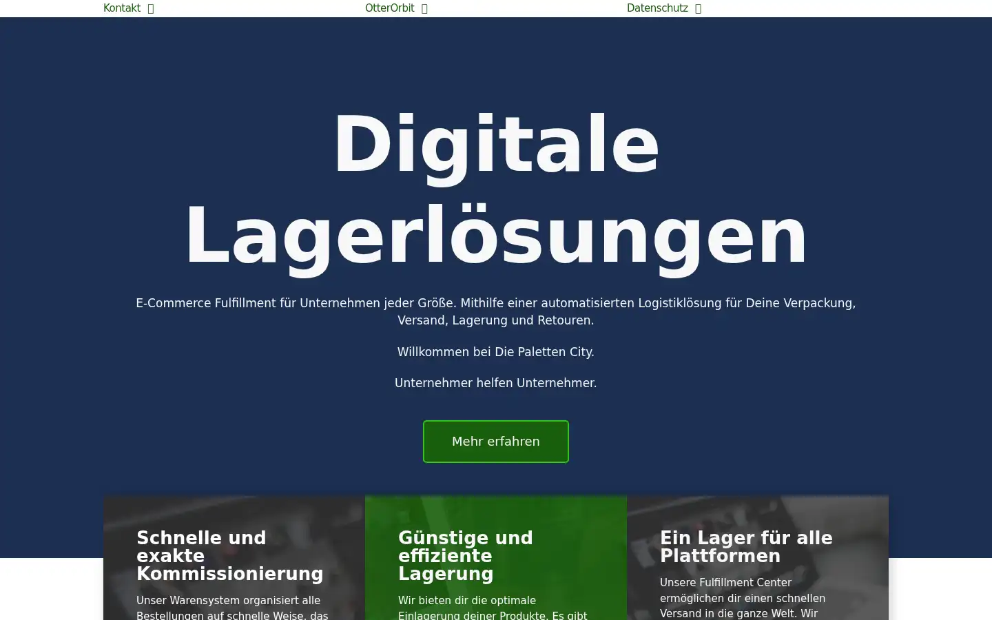 Screenshot of diepalettencity.com