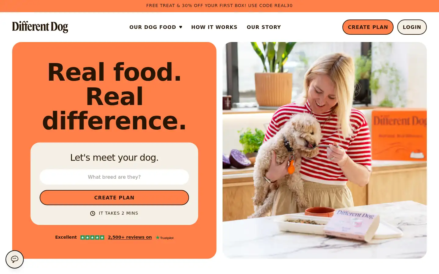 Screenshot of differentdog.com