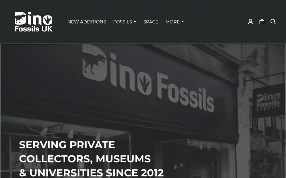 Screenshot of dinofossils.co.uk