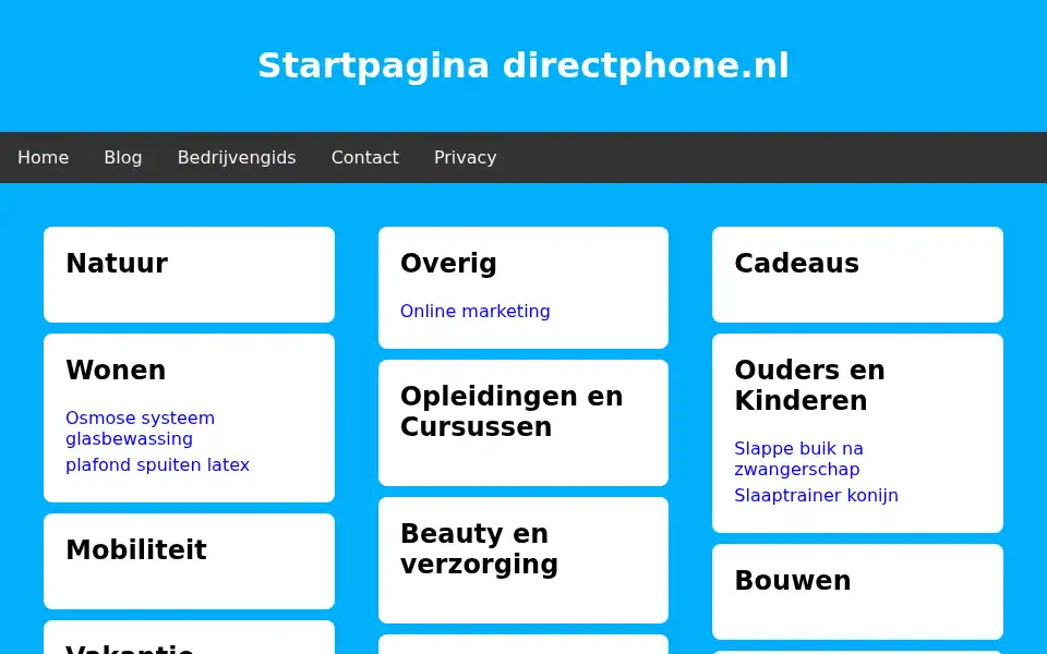 Screenshot of directphone.nl