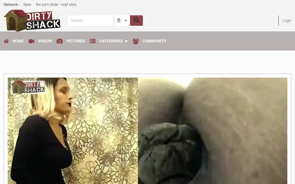 Screenshot of dirtyshack.com