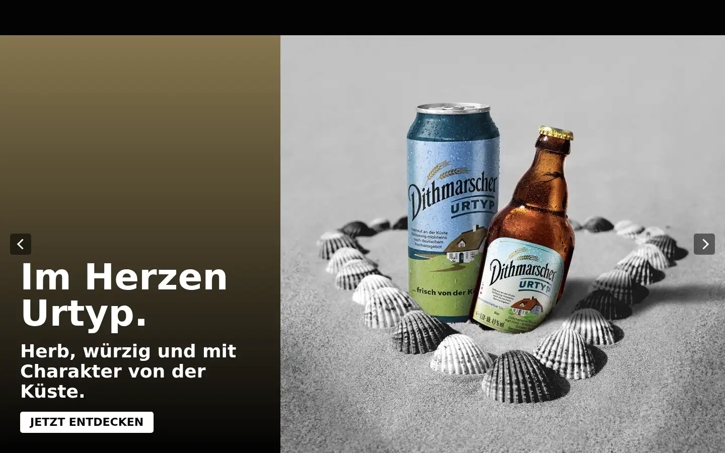 Screenshot of dithmarscher.de