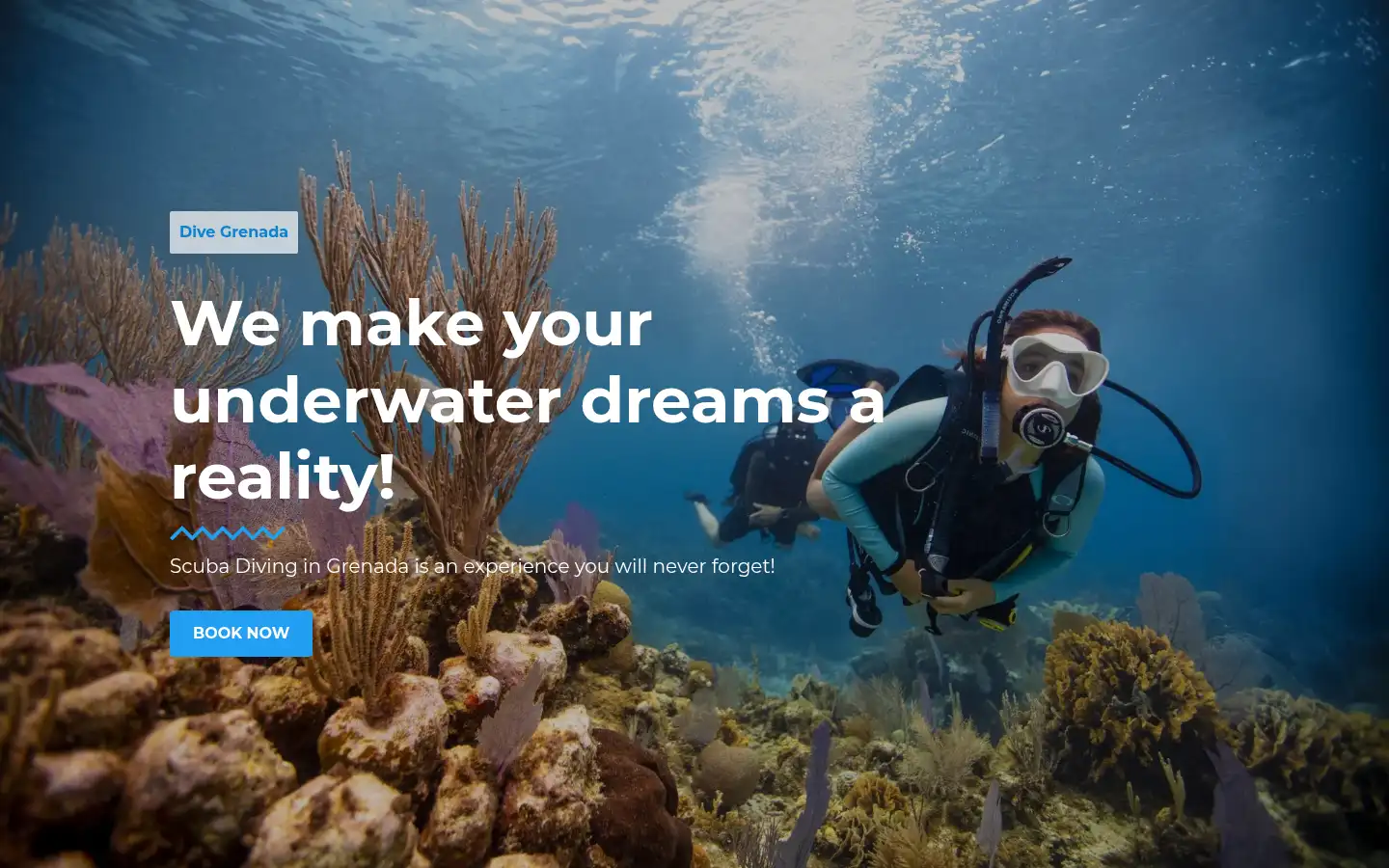 Screenshot of divegrenada.com