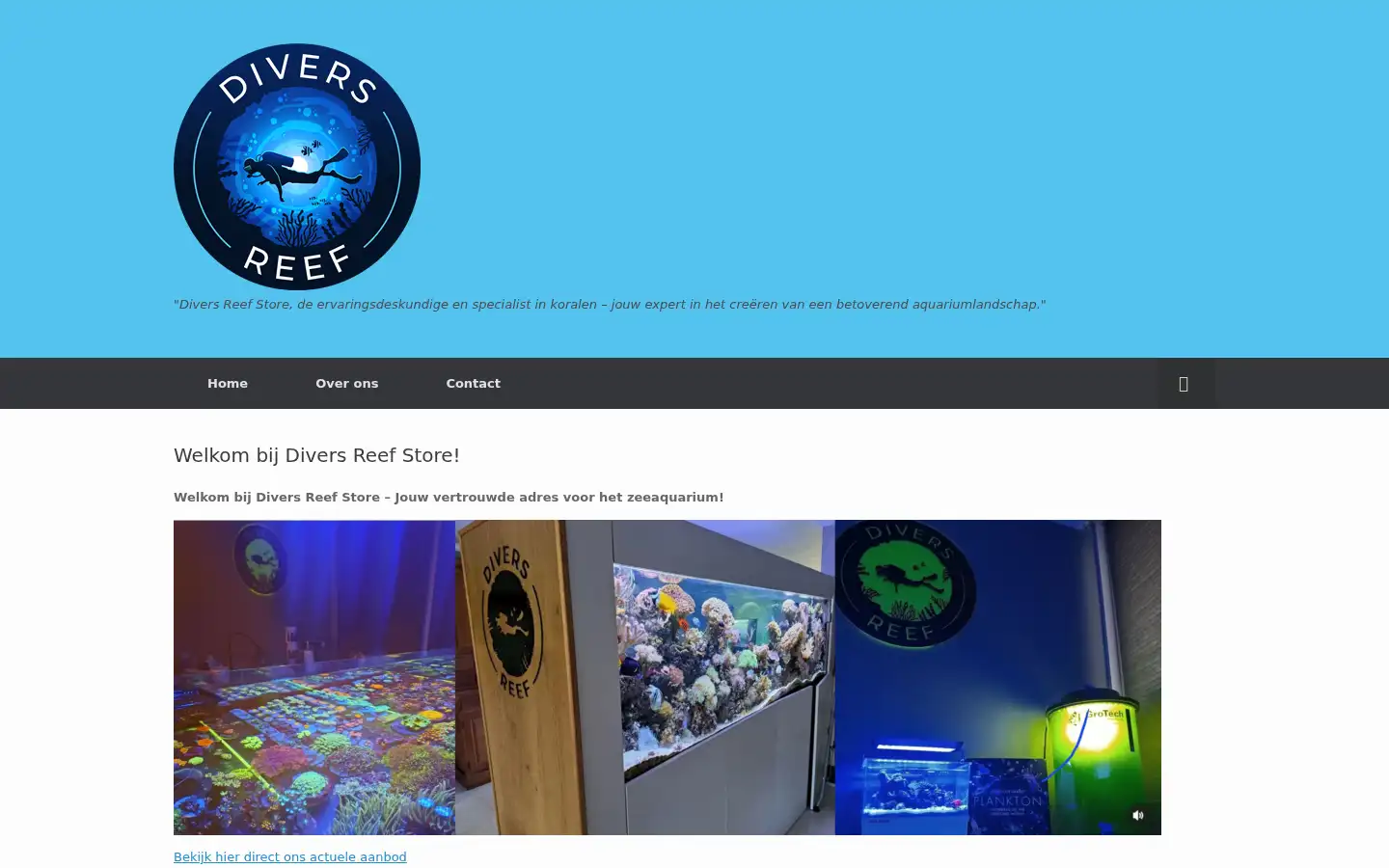 Screenshot of diversreefstore.nl