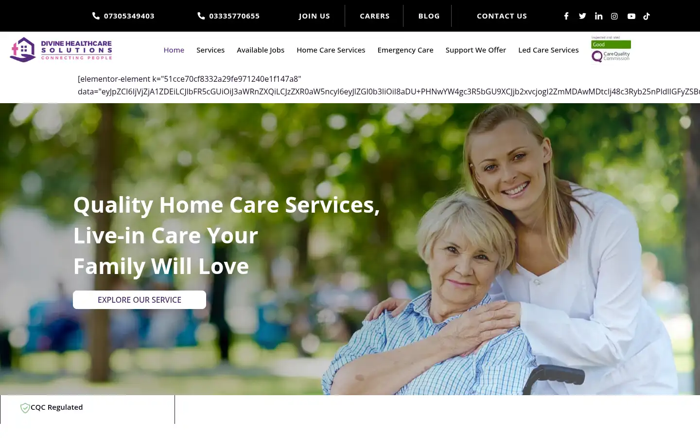 Screenshot of divinehealthcaresolutions.co.uk