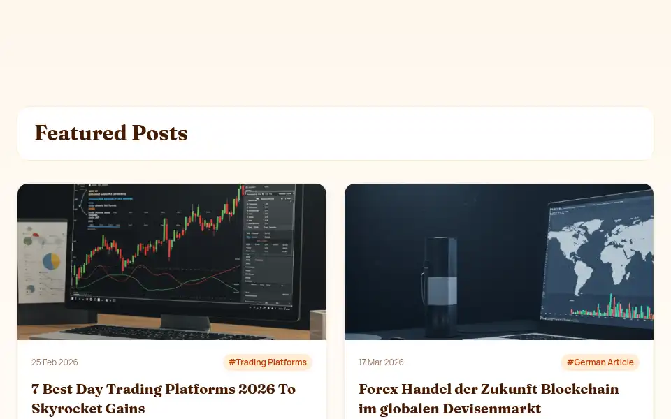 Screenshot of dixmarkets.com
