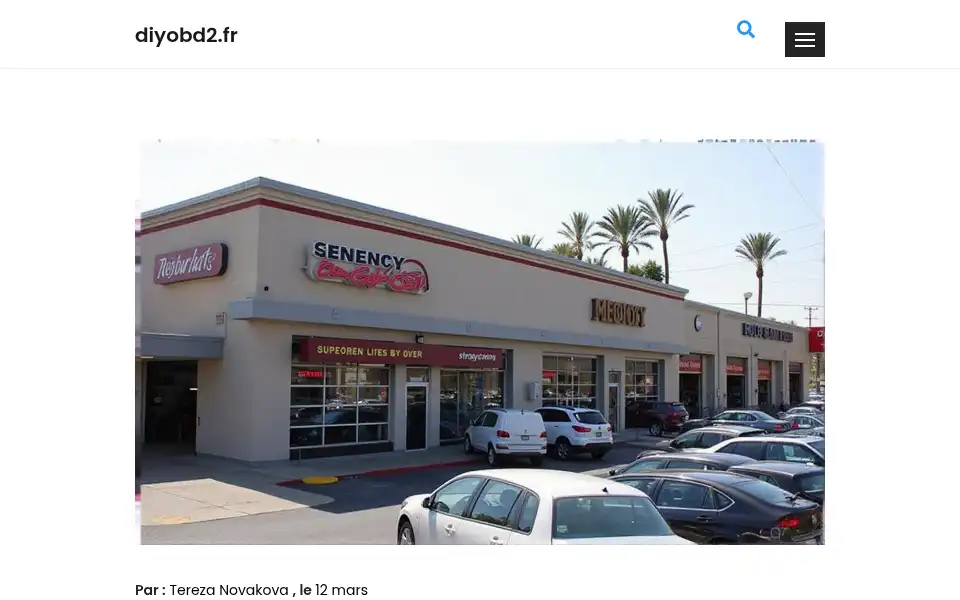 Screenshot of diyobd2.fr