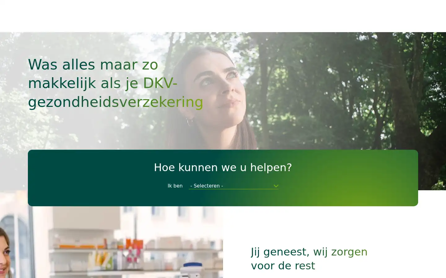 Screenshot of dkv.be