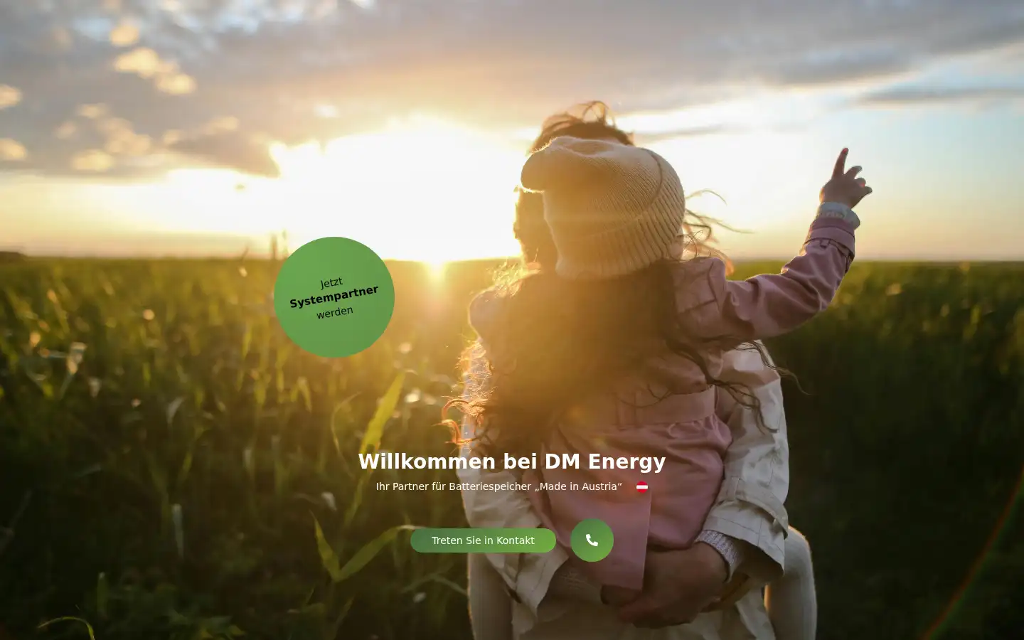 Screenshot of dmenergy.at