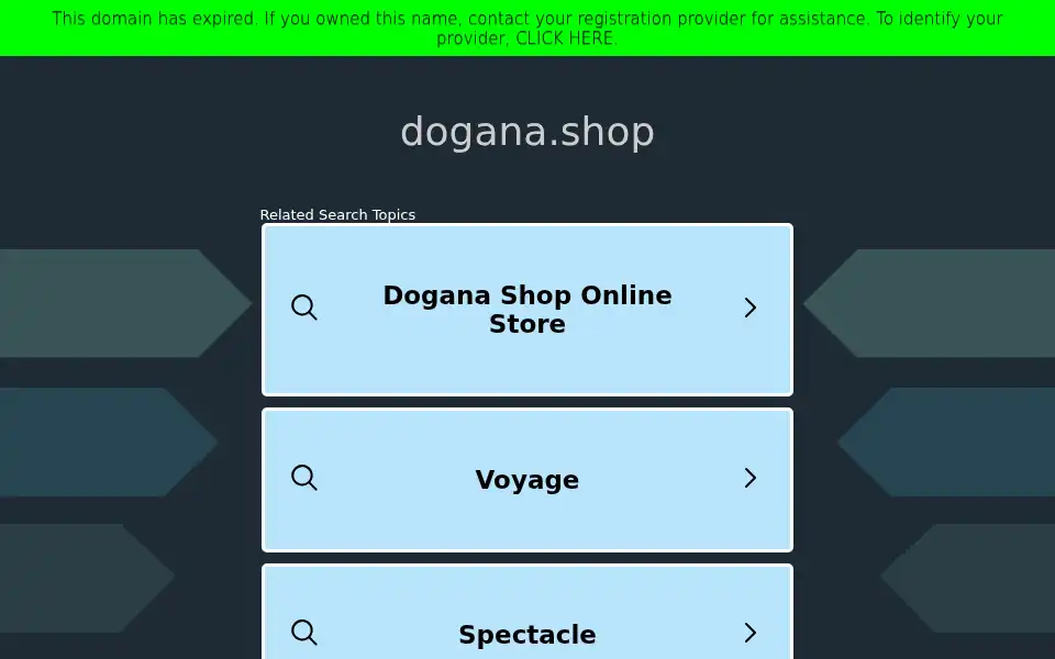 Screenshot of dogana.shop