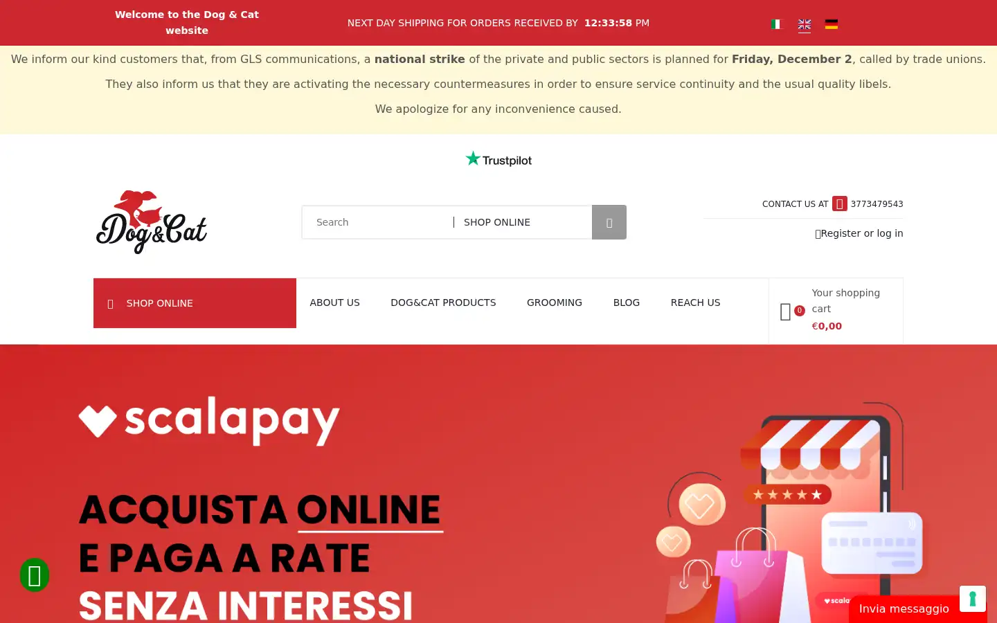 Screenshot of dogecatmegastore.it