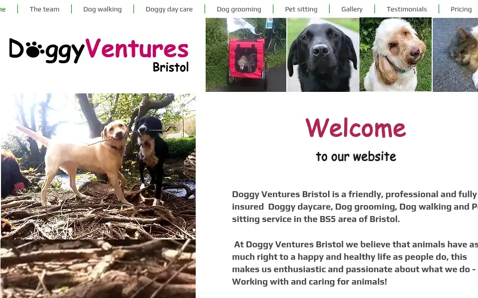 Screenshot of doggyventuresbristol.com