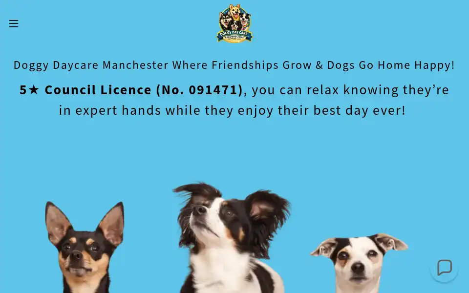Screenshot of dogsanddivas.co.uk