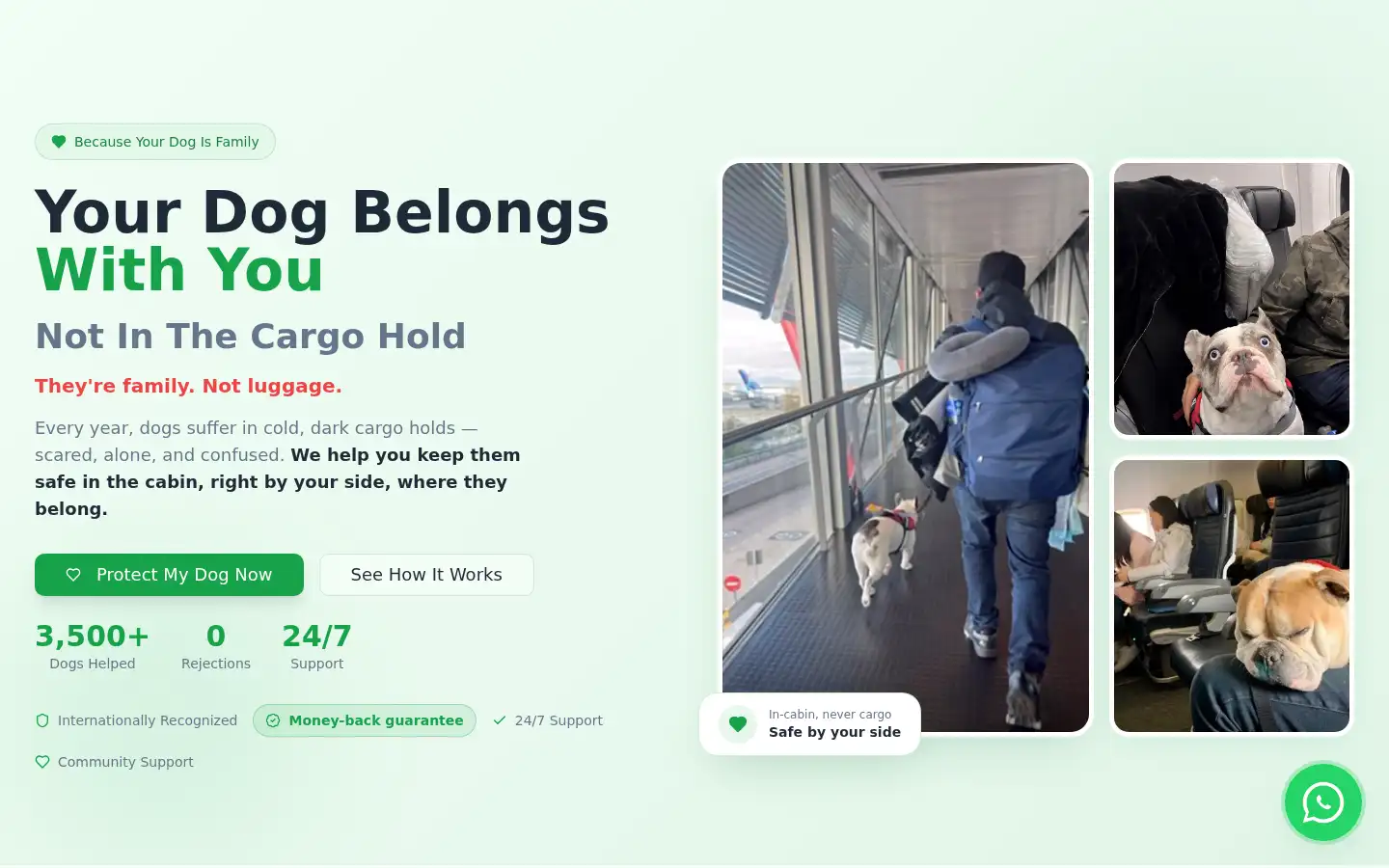 Screenshot of dogsflytoo.com