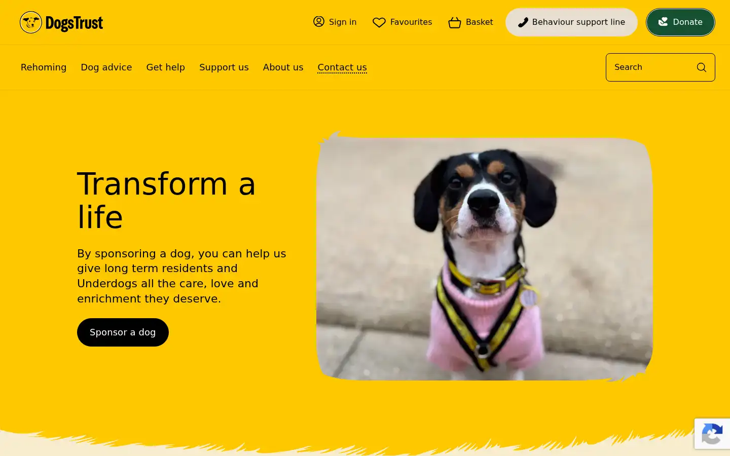Screenshot of dogstrust.org.uk